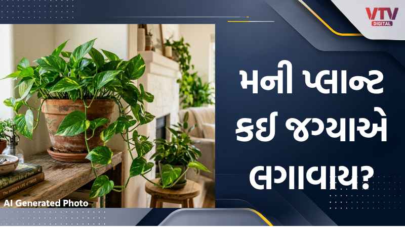 article-logo