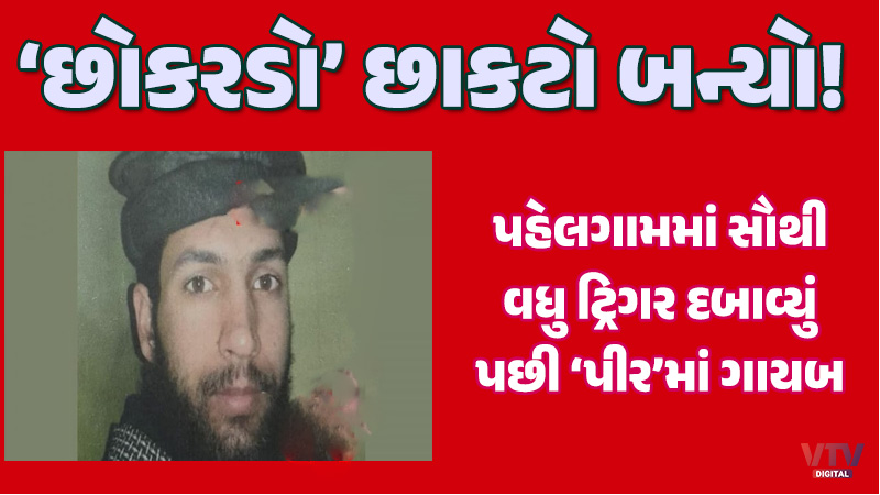 article-logo