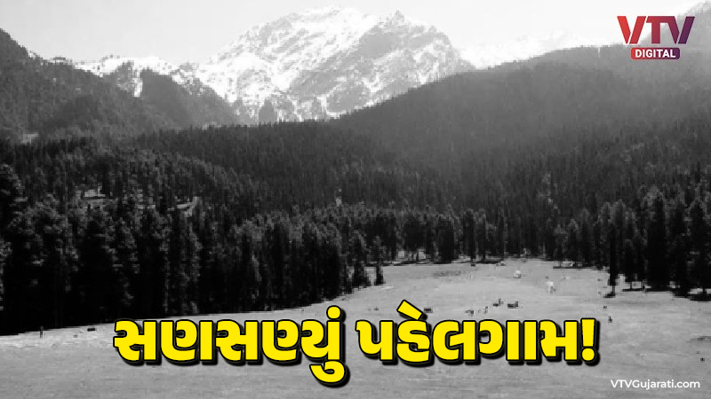 article-logo