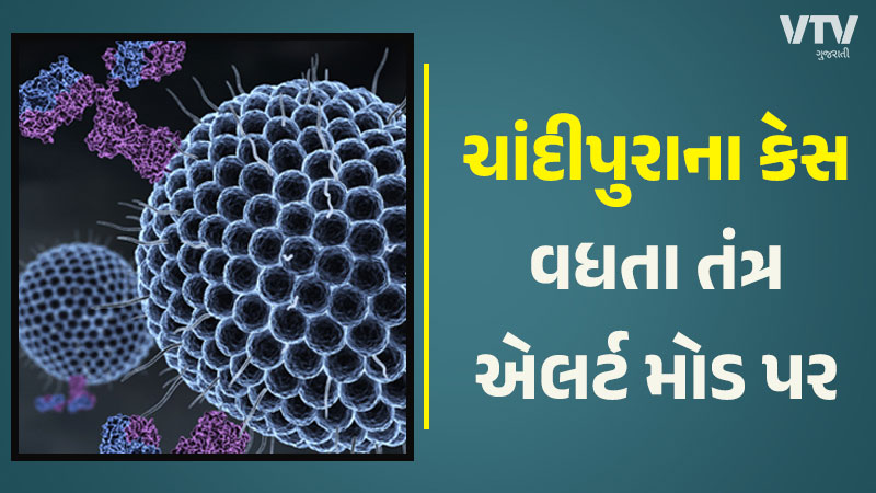 article-logo