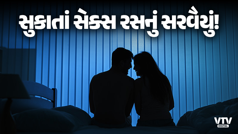 article-logo