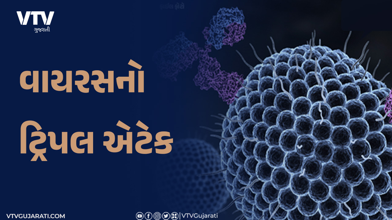 article-logo